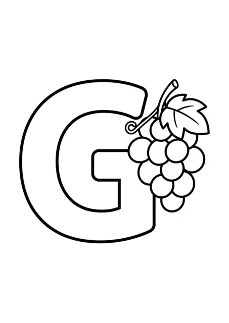 Large uppercase letter G beside a simple bunch of grapes for preschool coloring.