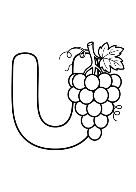 Letra U mayúscula grande y bien definida junto a unas uvas simples, sin palabra escrita, con líneas claras para colorear.