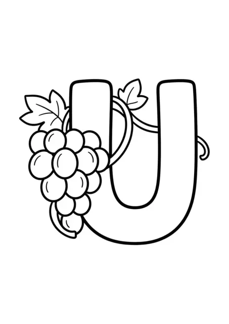Disegno a linee per la scuola dell'infanzia con una grande lettera U leggibile accanto a un semplice grappolo d'uva