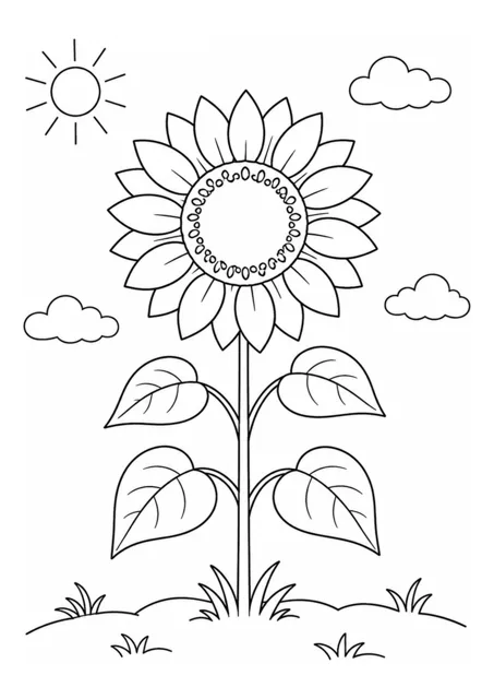 Sonnenblumenpflanze als einfaches Ausmalbild.